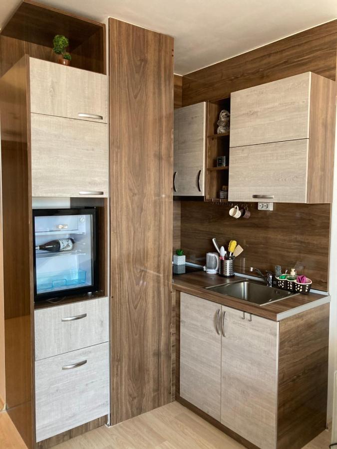 Mirabell Studio Bansko - Amazing View & Fireplace エクステリア 写真