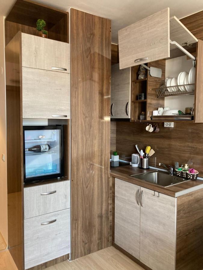 Mirabell Studio Bansko - Amazing View & Fireplace エクステリア 写真
