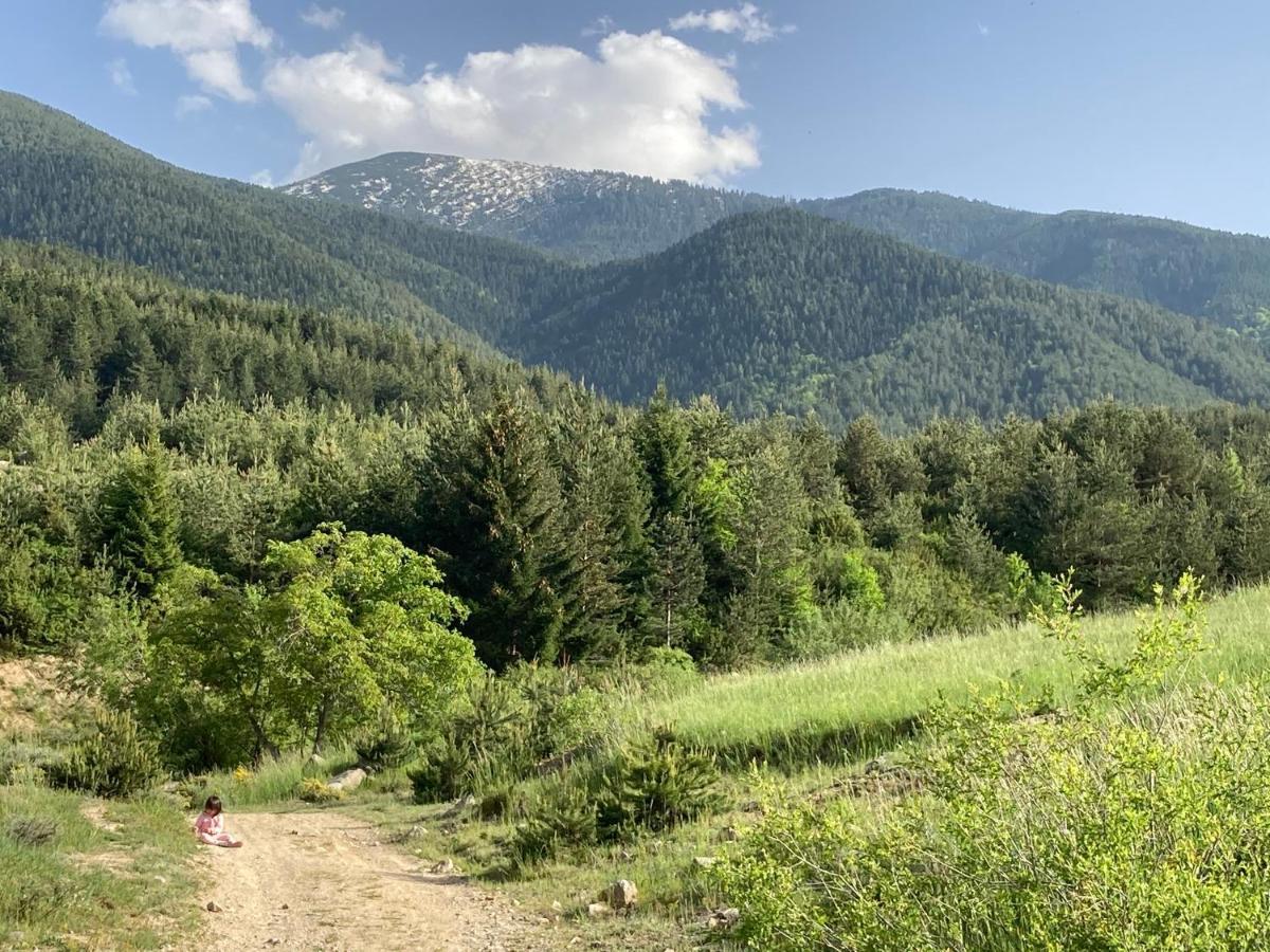 Mirabell Studio Bansko - Amazing View & Fireplace エクステリア 写真